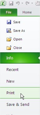 Excel Ribbon File Print