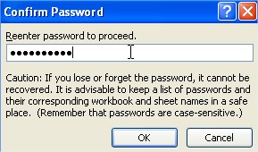 Excel how to protect Excel file Confirm Password
